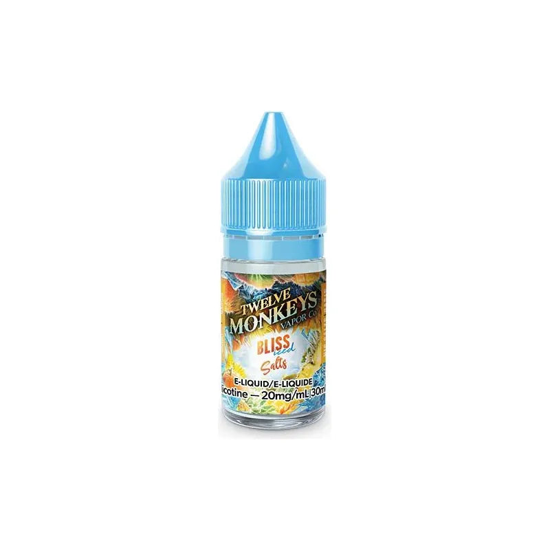 Shop Bliss Iced by Twelve Monkeys Ice Age Salt Juice - at Vapeshop Mania