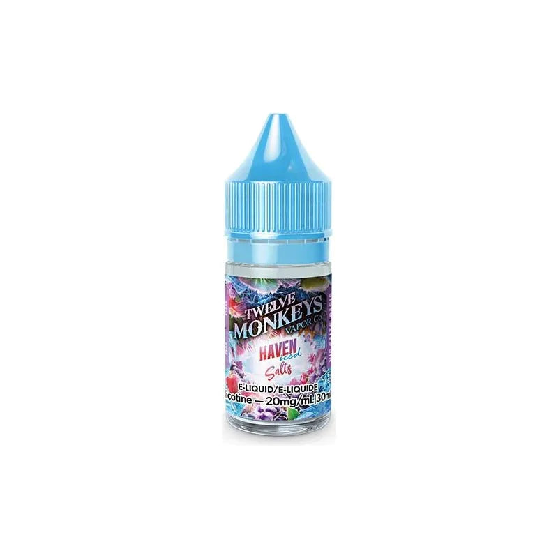 Shop Haven Iced by Twelve Monkeys Ice Age Salt Juice - at Vapeshop Mania