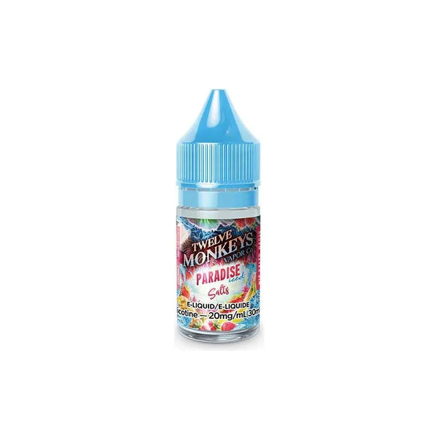 Shop Paradise Iced by Twelve Monkeys Ice Age Salt Juice - at Vapeshop Mania